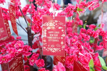 Close up of red envelope and cherry blossoms in the background