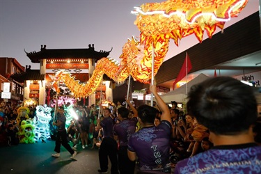 Lit up lion dancers at dusk