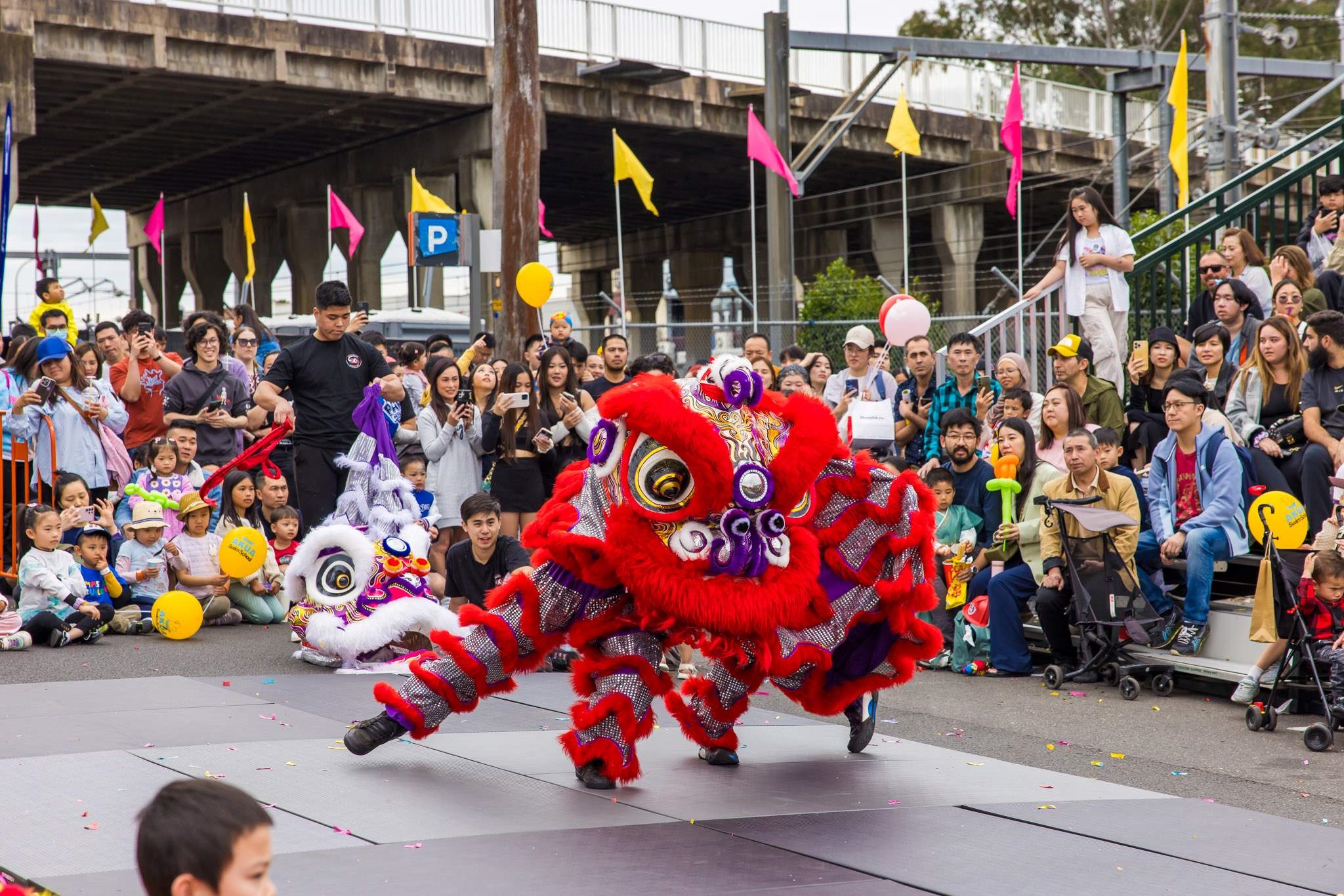 2024 Cabramatta Moon Festival Dong Thanh at the Lion's Den.