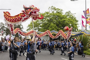 2024 Cabramatta Moon Festival Qing Fong dragon by Anna Kucera
