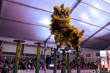 2025 NLDC lion on poles by Clinton Ngo.