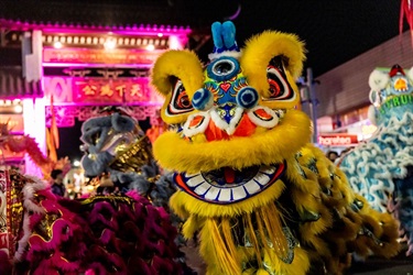 Lion at Pai Lau Gate