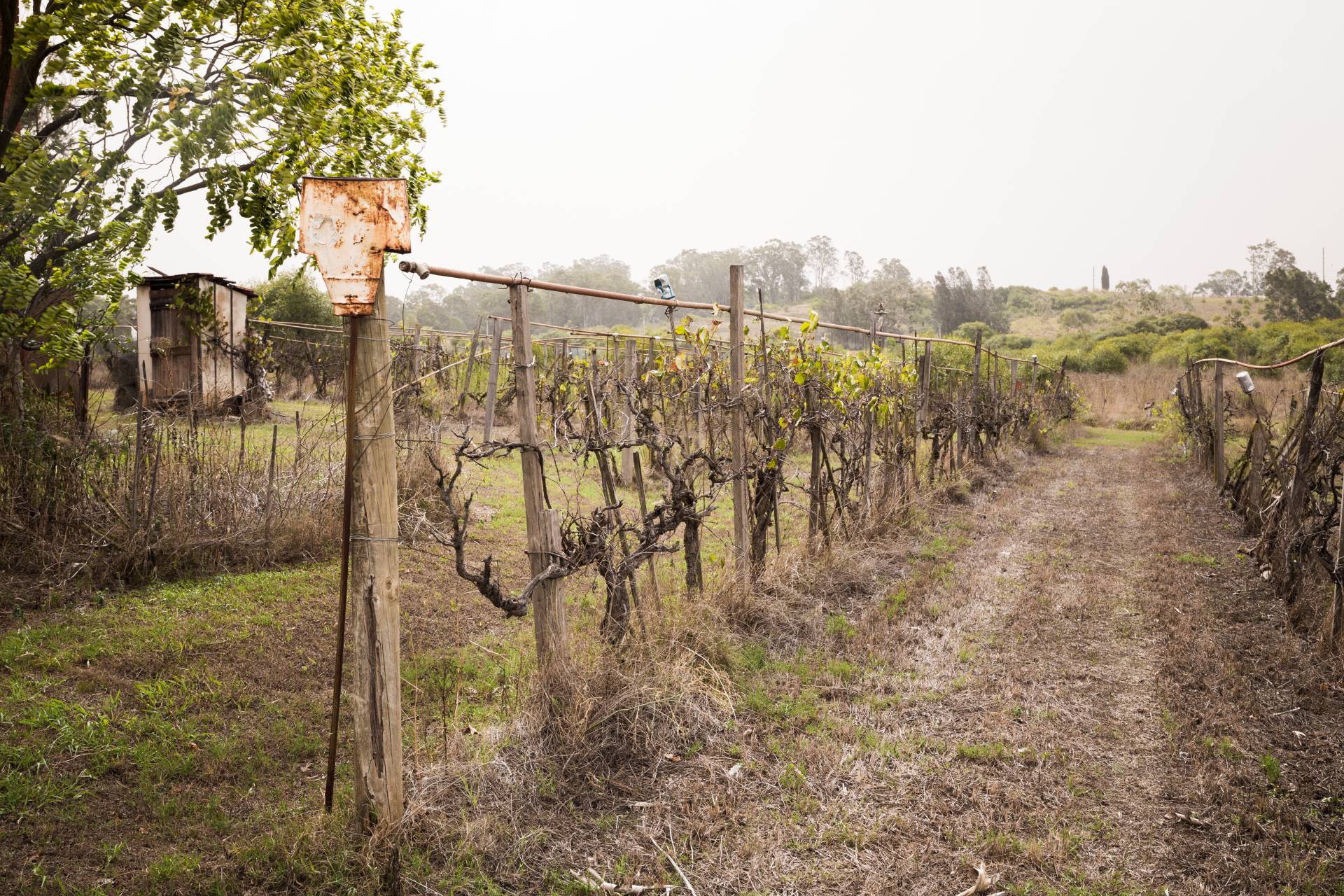 Farm with long fences extending several metres