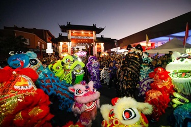 Cabramatta-Lunar-New-Year-2023-374