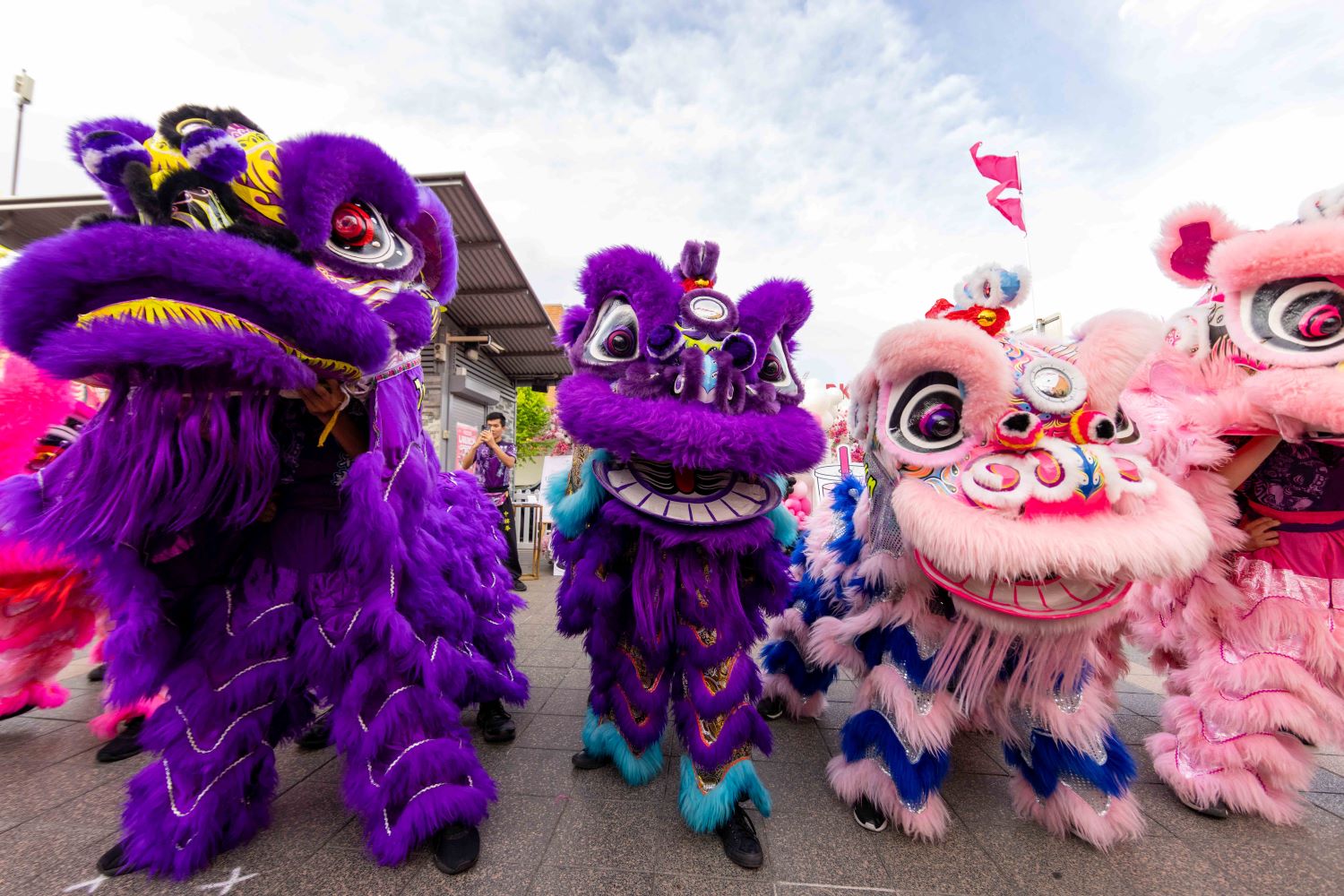 Local Lion Dances 